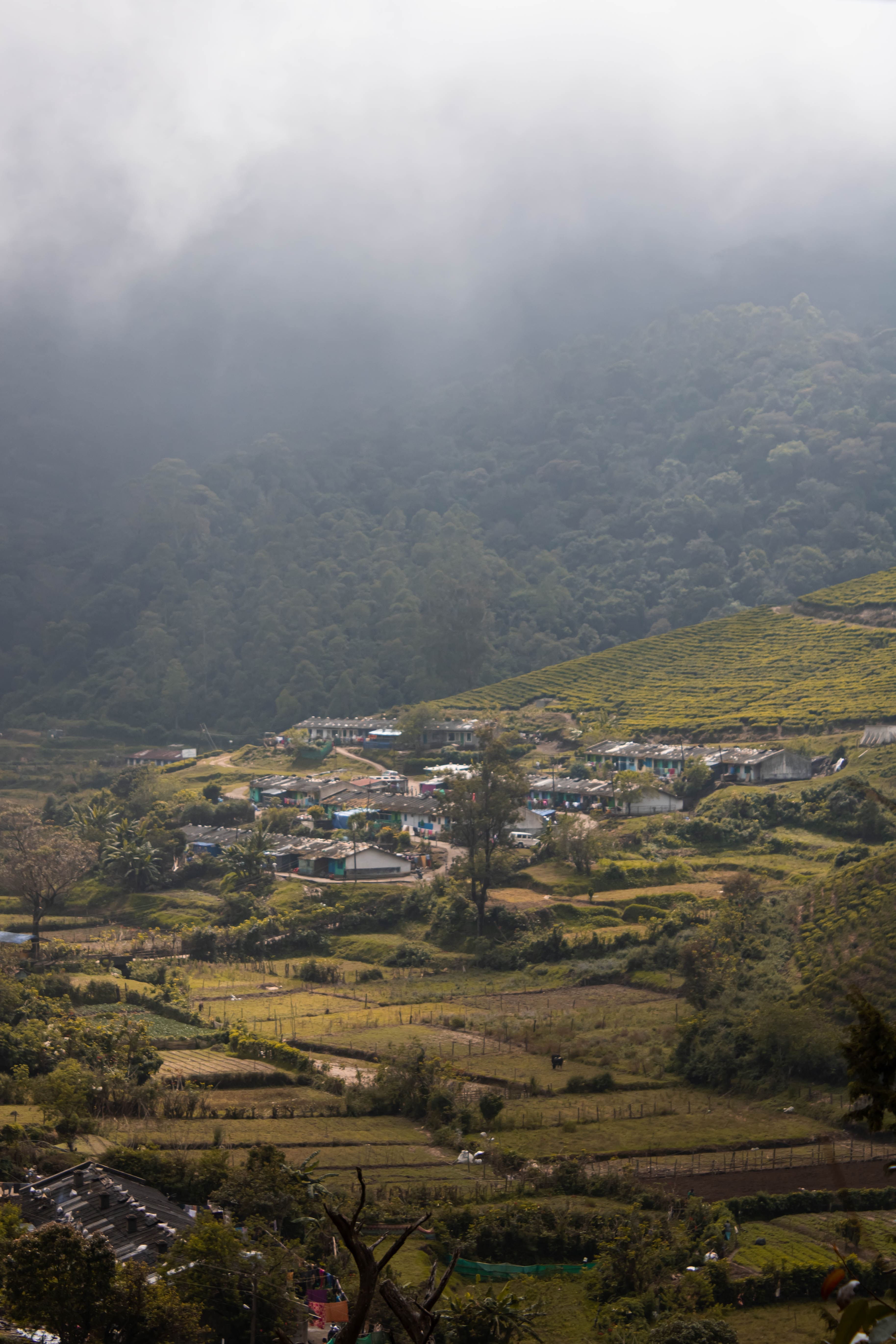 Description of photo 1