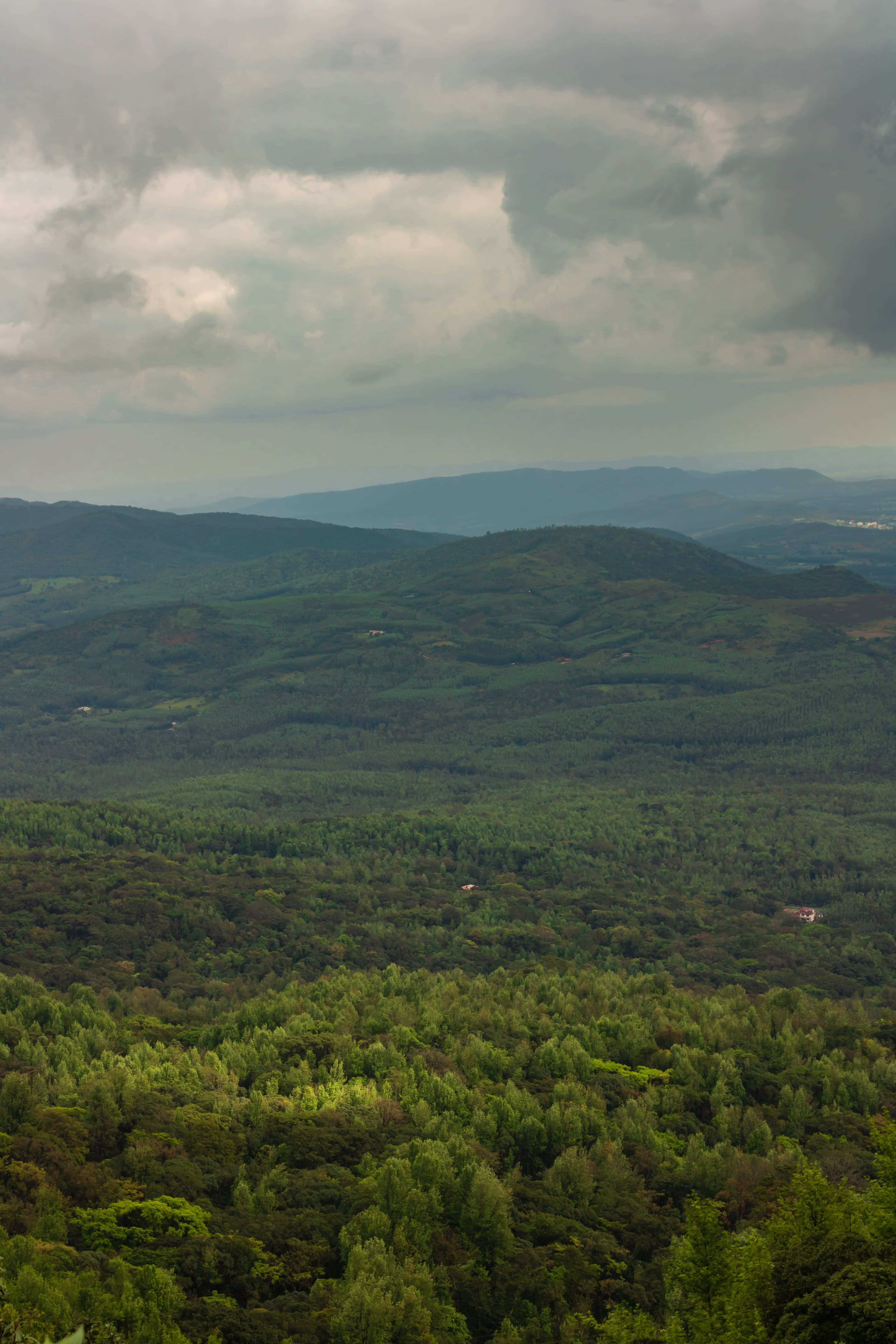 Description of photo 1