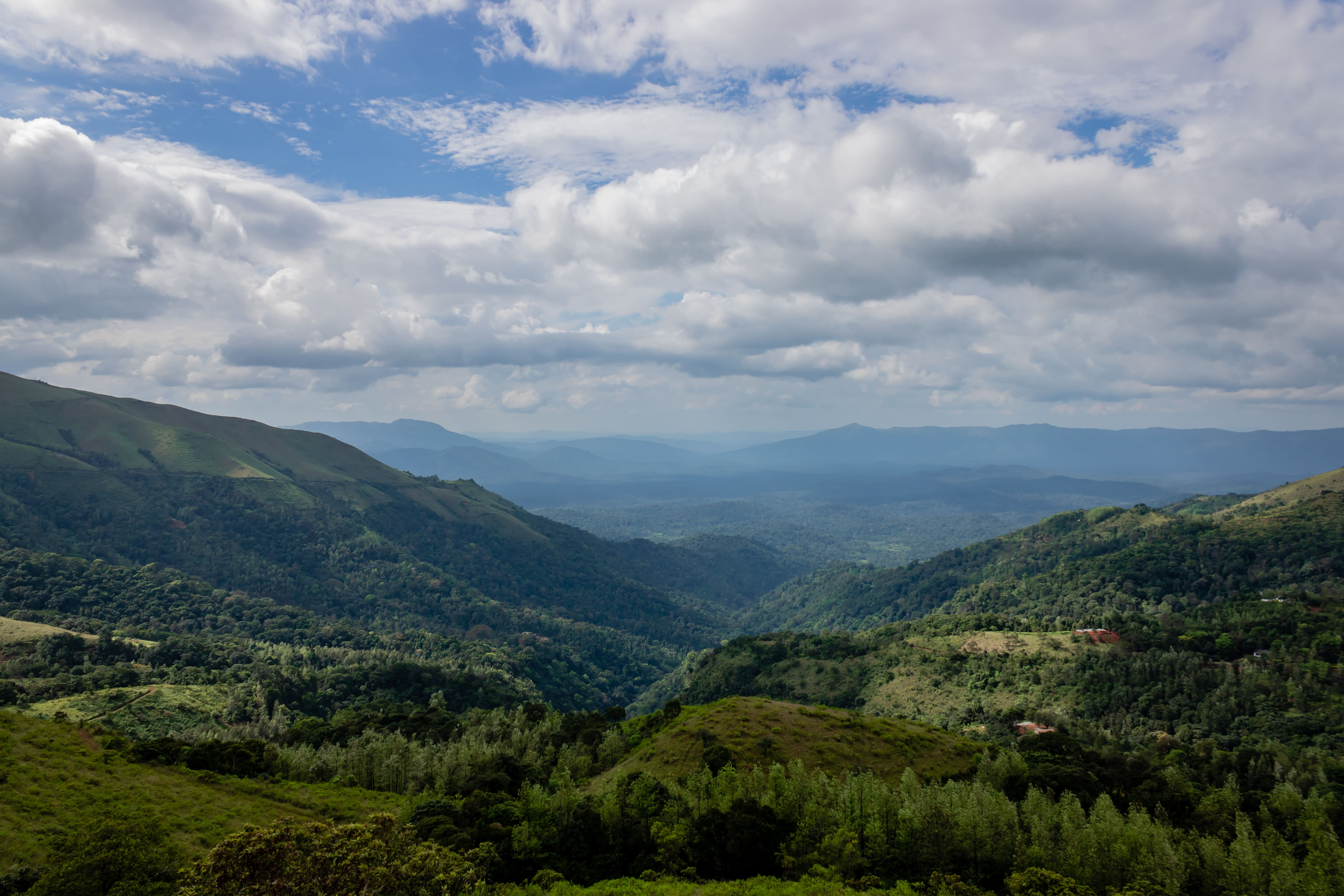 Full creative background